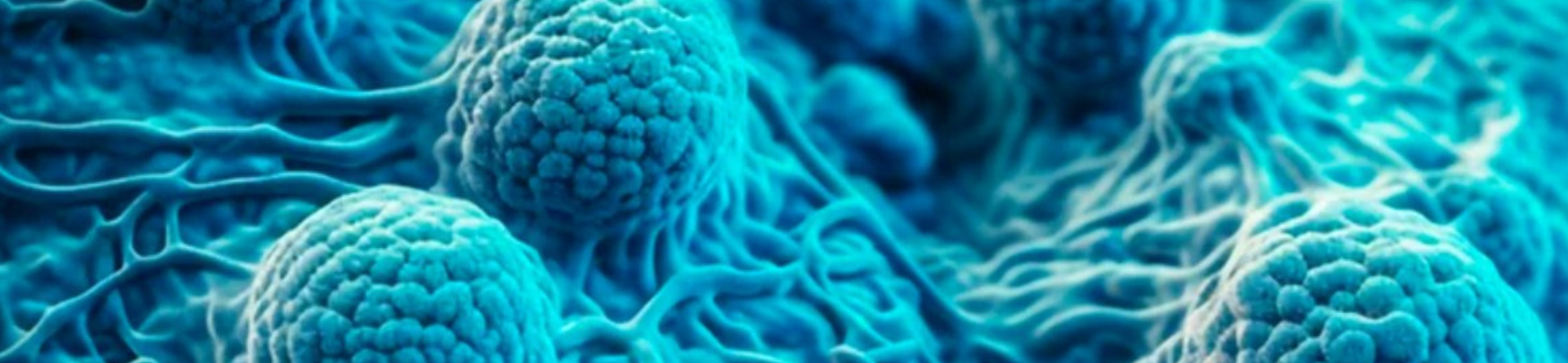 The Evolution of HCT