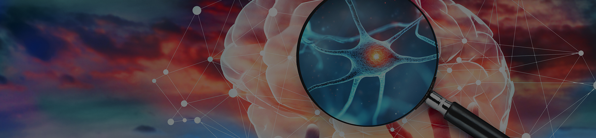 Bridging Community: Collaborative Efforts in Early Detection and Intervention for Alzheimer's Disease